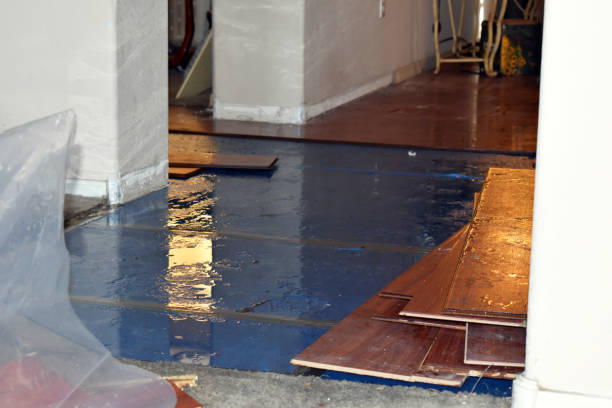Professional Water Damage Restoration technician working in Pembine, WI